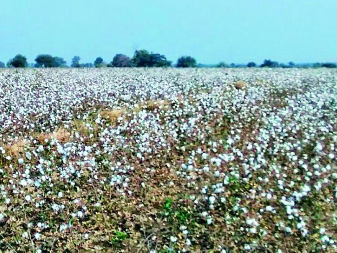 Farmers' resentment for the increase in the cost of the land | शेतमालाच्या दरवाढीसाठी शेतकऱ्यांचा आक्रोश