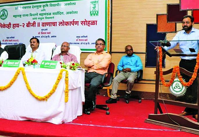  BT cotton production will increase! - Anil Bhandari | देशी बीटी कपाशीचे उत्पादन वाढविणार! - अनिल भंडारी 