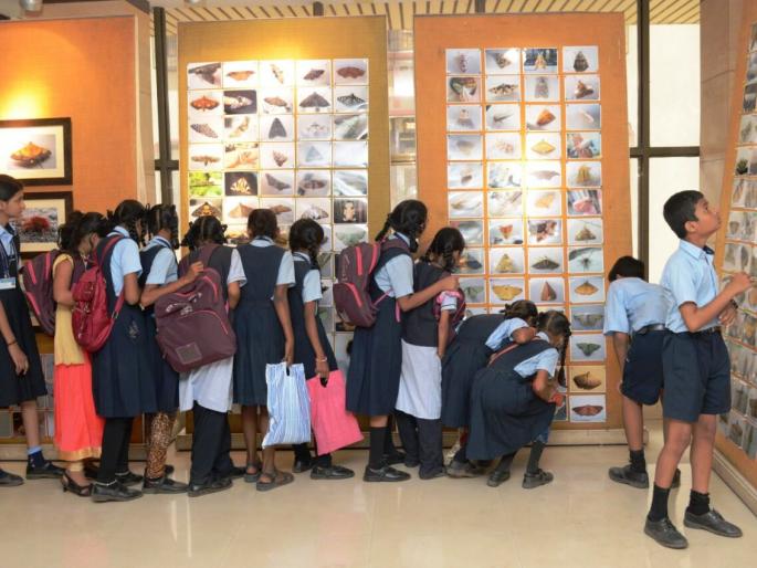 Dombivlikar ramle flowers with students: exhibition in Saturday-Sunday Balbhavan | विद्यार्थ्यांसह डोंबिवलीकर रमले फुलापाखरांच्या प्रदेशात : शनिवार-रविवार बालभवनमध्ये प्रदर्शन Dombivlikar ramle flowers with students: exhibition in Saturday-Sunday Balbhavan | विद्यार्थ्यांसह डोंबिवलीकर रमले फुलापाखरांच्या प्रदेशात : शनिवार-रविवार बालभवनमध्ये प्रदर्शन