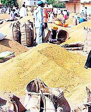 Driving two lakh quintals of rice open | पावणे दोन लाख क्विंटल धान उघड्यावर