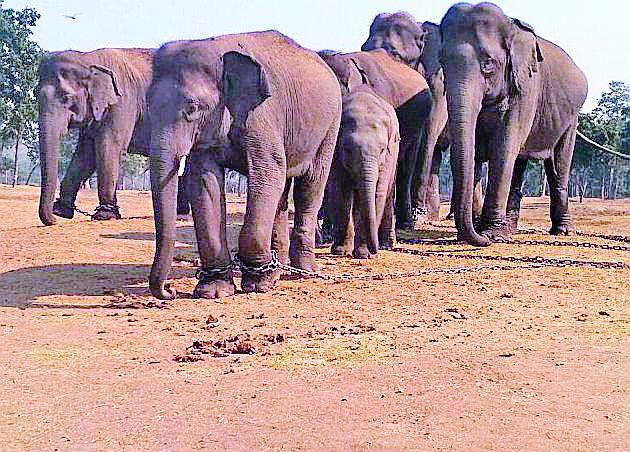 Attempts for tourism development | पर्यटन विकासासाठी प्रयत्न Attempts for tourism development | पर्यटन विकासासाठी प्रयत्न