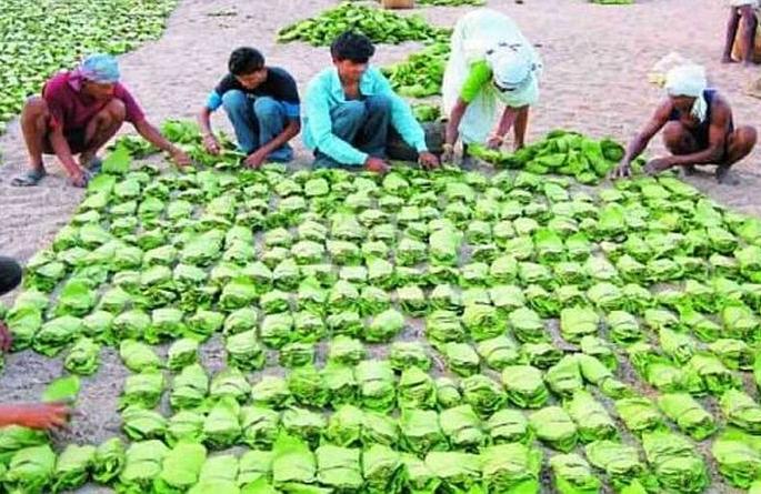 Corona's attack on the tendu leaf business | तेंदूपत्ता व्यवसायावर कोरोनाचे सावट