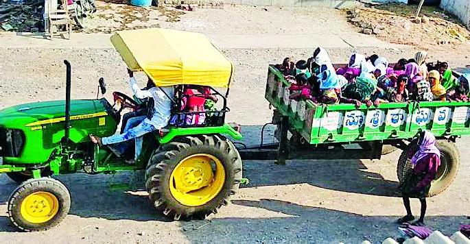 Hazardous traffic from the trails of the buffalo | वऱ्हाड्यांची ट्रॅक्टरमधून धोकादायक वाहतूक Hazardous traffic from the trails of the buffalo | वऱ्हाड्यांची ट्रॅक्टरमधून धोकादायक वाहतूक