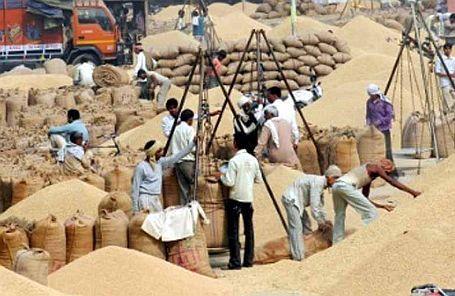 Grains sold in April will receive a bonus | एप्रिलमध्ये विकलेल्या धानाला बोनस मिळणार Grains sold in April will receive a bonus | एप्रिलमध्ये विकलेल्या धानाला बोनस मिळणार