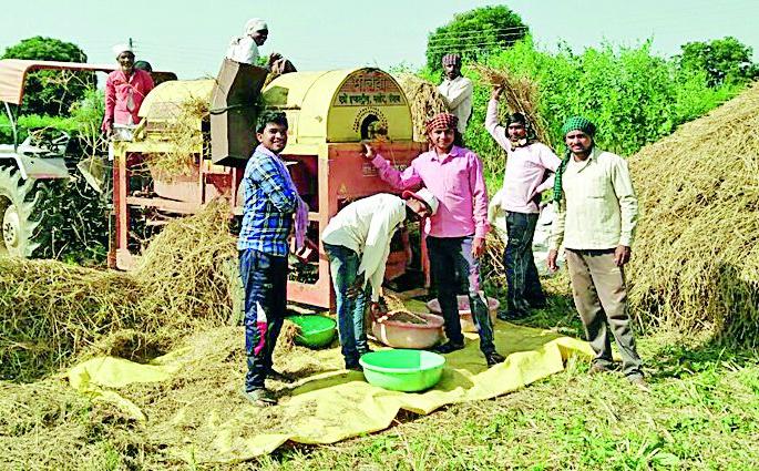 The common use of the machine for the production of paddy field | धान मळणीच्या कामात यंत्राचा सर्रास वापर
