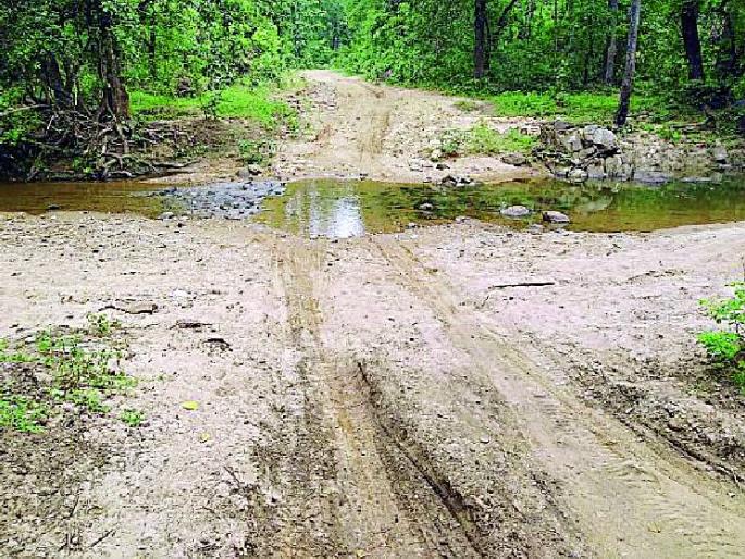 Daman's journey has to go through the Nalla race | नाल्यांची शर्यत पार करून गाठावे लागते दामरंचा Daman's journey has to go through the Nalla race | नाल्यांची शर्यत पार करून गाठावे लागते दामरंचा