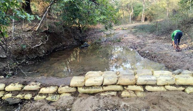 Dams for wildlife at Navegaonbandh-Nagzira Tiger Reserve | नवेगावबांध-नागझिरा व्याघ्र प्रकल्पात वन्यप्राण्यांसाठी बंधारे 