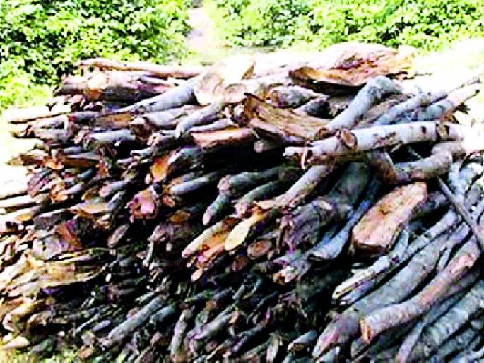 Burnt wood slaughter | जलाऊ लाकडांसाठी जंगलाची कत्तल Burnt wood slaughter | जलाऊ लाकडांसाठी जंगलाची कत्तल