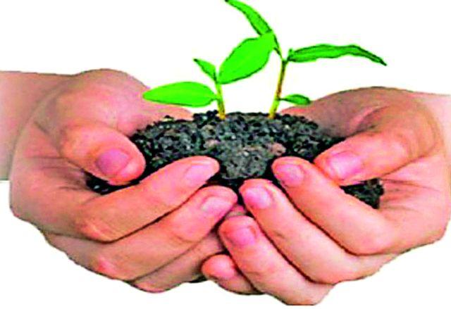 No announcement for tree conservation, no actual action | वृक्षसंवर्धनासाठी घोषणा नको, प्रत्यक्ष कृती हवी