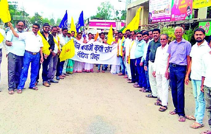 Public awareness from Constitution Rally | संविधान सन्मान रॅलीतून जनजागृती