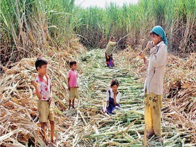 Error in all proposals for the seasonal hostel | हंगामी वसतिगृहाच्या सर्वच प्रस्तावांत त्रुटी Error in all proposals for the seasonal hostel | हंगामी वसतिगृहाच्या सर्वच प्रस्तावांत त्रुटी