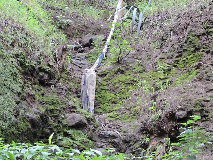 Surprise: A stone's throw saves a woman's life! | आश्चर्य : चक्क दगड मारल्याने वाचला महिलेचा जीव ! Surprise: A stone's throw saves a woman's life! | आश्चर्य : चक्क दगड मारल्याने वाचला महिलेचा जीव !