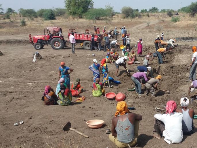 Increase in the number of workers in EGS | रोहयोवरील मजूर संख्येत झाली वाढ Increase in the number of workers in EGS | रोहयोवरील मजूर संख्येत झाली वाढ