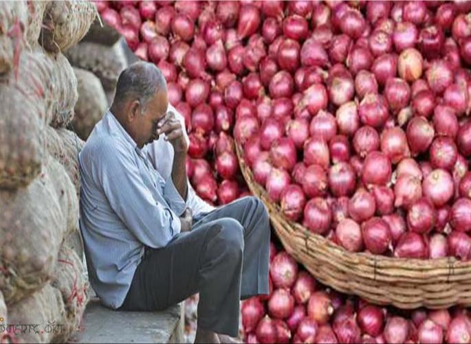 Onion did not accompany; Baliraja's hand on his head! | कांद्यानेही नाही दिली साथ; बळीराजाचा डोक्याला हात!