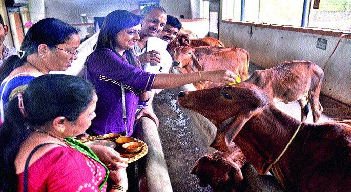 Deepotsavala started in the district | जिल्ह्यात दीपोत्सवाला प्रारंभ Deepotsavala started in the district | जिल्ह्यात दीपोत्सवाला प्रारंभ