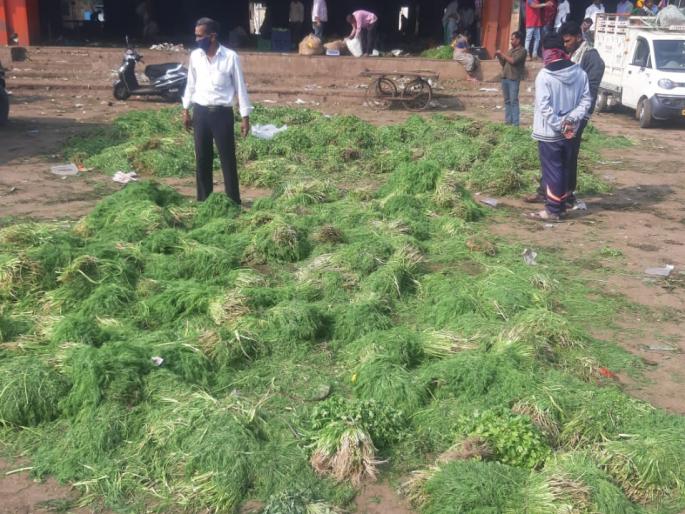 Farmers return after throwing fenugreek, shepu and cilantro in the market committee! | मेथी,शेपू, कोथींबीर बाजार समितीत टाकून शेतकरी परतले! Farmers return after throwing fenugreek, shepu and cilantro in the market committee! | मेथी,शेपू, कोथींबीर बाजार समितीत टाकून शेतकरी परतले!