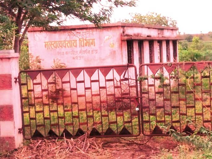 Fish Seedling center in Mirajgaon has been on paper since 20 years | मिरजगावमधील मत्स्यबीज केंद्र २० वर्षांपासून कागदावरच Fish Seedling center in Mirajgaon has been on paper since 20 years | मिरजगावमधील मत्स्यबीज केंद्र २० वर्षांपासून कागदावरच