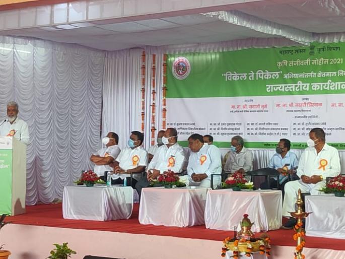 Dindori taluka is the California of Maharashtra: Dada Bhuse | दिंडोरी तालुका म्हणजे महाराष्ट्राचा कॅलिफोर्निया: दादा भुसे Dindori taluka is the California of Maharashtra: Dada Bhuse | दिंडोरी तालुका म्हणजे महाराष्ट्राचा कॅलिफोर्निया: दादा भुसे