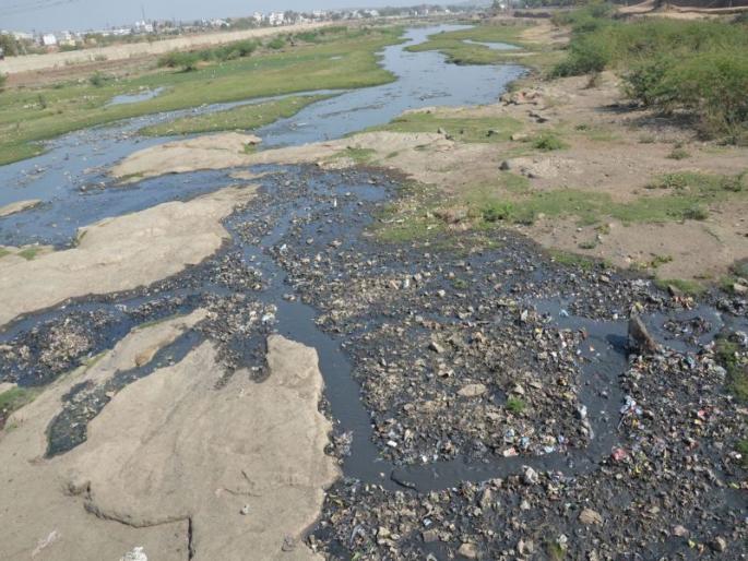 Gram Panchayats in Dhule district should implement river sanitation drive | धुळे जिल्ह्यातील ग्रामपंचायतींनी नदी स्वच्छता अभियान राबवावे