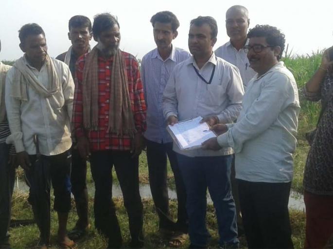 Land is counted due to rain | पावसामुळे जमीन मोजणी लांबली Land is counted due to rain | पावसामुळे जमीन मोजणी लांबली