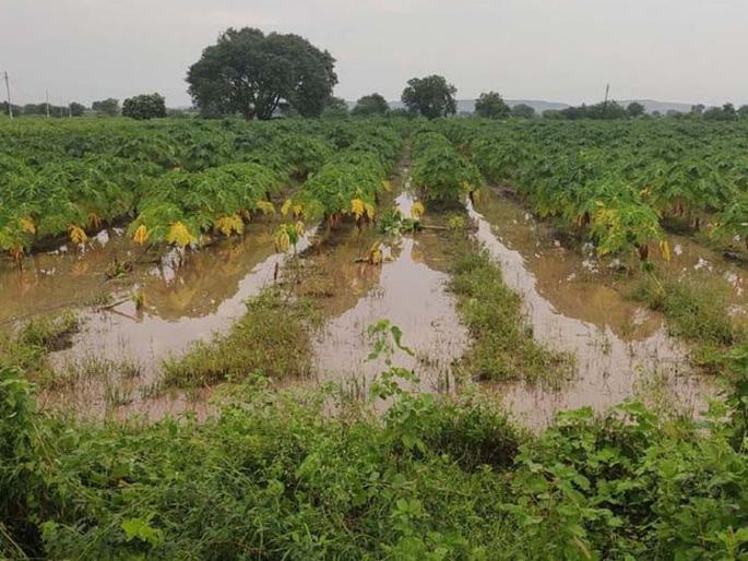 Four crore proposed to compensate for the loss of rain | अतीवृष्टीतील नुकसानीच्या भरपाईसाठी चार कोटींचा प्रस्ताव Four crore proposed to compensate for the loss of rain | अतीवृष्टीतील नुकसानीच्या भरपाईसाठी चार कोटींचा प्रस्ताव