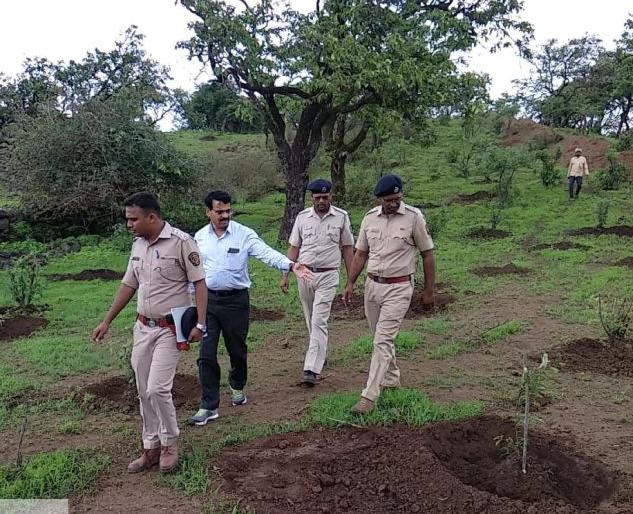 Forest committees to provide 'youth employment' through fruit trees | फळझाडांद्वारे वन समित्या देणार ‘युवकांना रोजगार’ Forest committees to provide 'youth employment' through fruit trees | फळझाडांद्वारे वन समित्या देणार ‘युवकांना रोजगार’