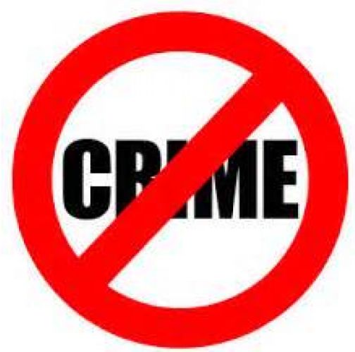 Damage caused by breaking electrical wires | विद्युत तारा तोडून केले नुकसान Damage caused by breaking electrical wires | विद्युत तारा तोडून केले नुकसान