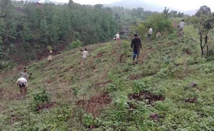 Biodiversity Committee and 'Reality' initiative | जैवविविधता समिती व ‘जनार्थ’चा पुढाकार Biodiversity Committee and 'Reality' initiative | जैवविविधता समिती व ‘जनार्थ’चा पुढाकार