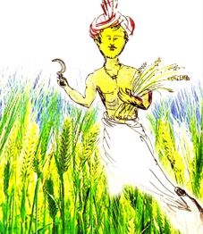 Support through crop loans | पीक कर्जाच्या माध्यमातून आधार द्या Support through crop loans | पीक कर्जाच्या माध्यमातून आधार द्या