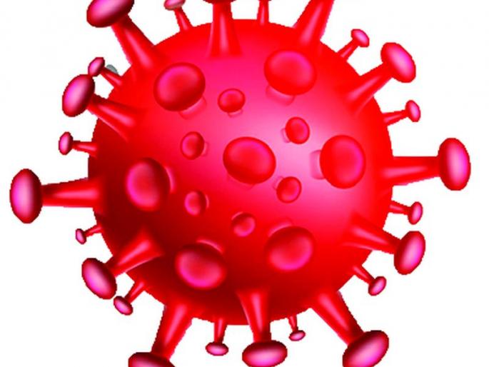 Tehsildar and resident deputy tehsildar on leave due to corona | कोरोनामुळे तहसीलदार व निवासी नायब तहसीलदार रजेवर Tehsildar and resident deputy tehsildar on leave due to corona | कोरोनामुळे तहसीलदार व निवासी नायब तहसीलदार रजेवर