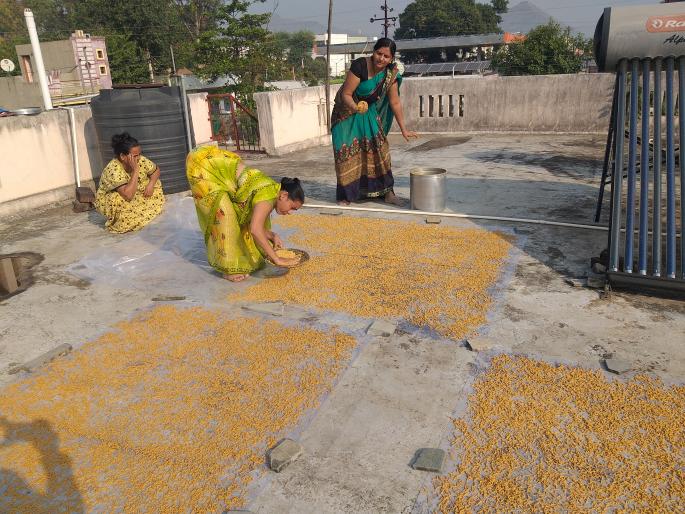 Start preparing the drying material | वाळवणाचे पदार्थ तयार करण्यास प्रारंभ Start preparing the drying material | वाळवणाचे पदार्थ तयार करण्यास प्रारंभ