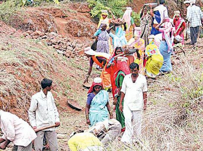 Parbhani: The highest amount of skilled work was Rs | परभणी : कुशल कामाचे सव्वापाच कोटी रुपये मिळाले Parbhani: The highest amount of skilled work was Rs | परभणी : कुशल कामाचे सव्वापाच कोटी रुपये मिळाले