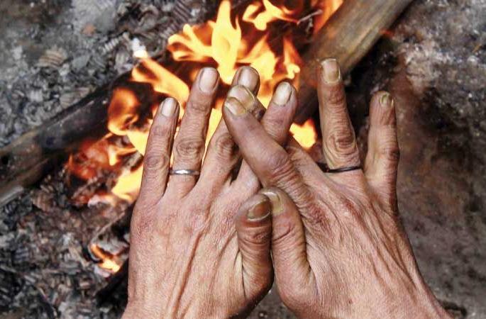 Cold wave wreaked havoc in Nashik | शीतलहरीने केला कहर अन् गारठले नाशिककर Cold wave wreaked havoc in Nashik | शीतलहरीने केला कहर अन् गारठले नाशिककर