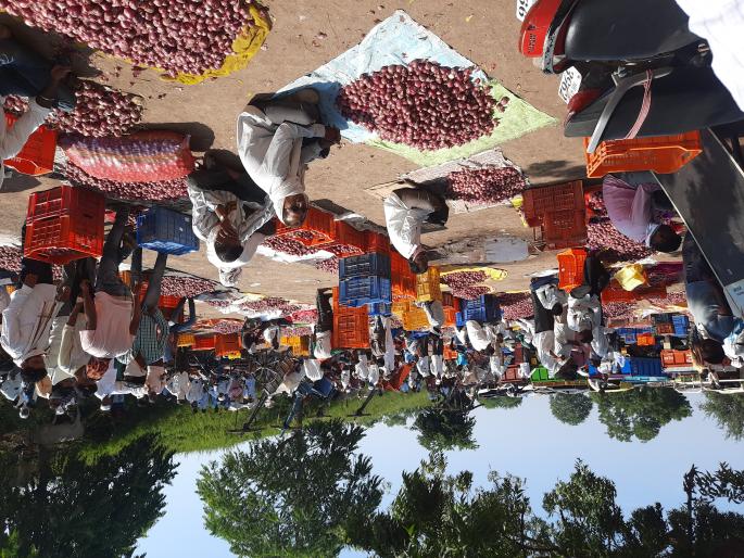 Launch of Red Onion Purchase and Sale at Umrane Market Committee | उमराणे बाजार समितीत लाल कांदा खरेदी विक्र ीचा शुभारंभ Launch of Red Onion Purchase and Sale at Umrane Market Committee | उमराणे बाजार समितीत लाल कांदा खरेदी विक्र ीचा शुभारंभ