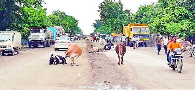 3 feet out of 5 on the road | ४० पैकी ३० फूट रस्त्यावर अतिक्रमण