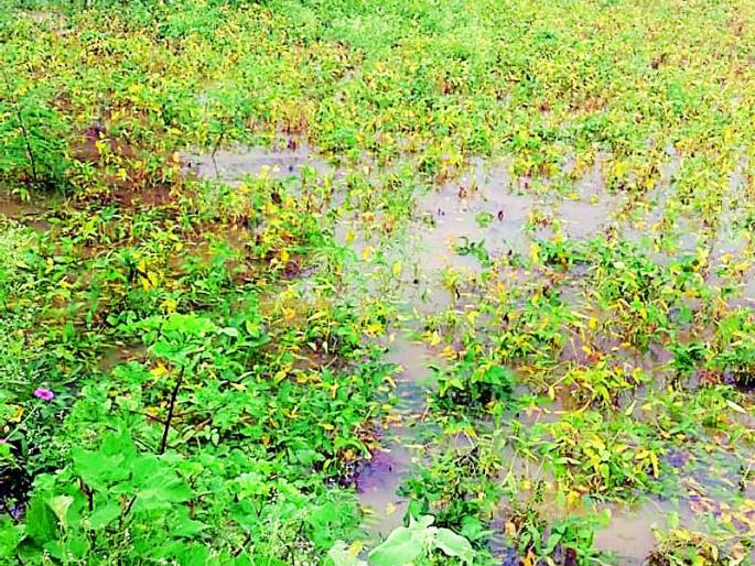 Due to the payment of canal soil, the water in the field will be drained | कालव्याच्या माती भराव्यामुळे शेतात साचले पाणी Due to the payment of canal soil, the water in the field will be drained | कालव्याच्या माती भराव्यामुळे शेतात साचले पाणी