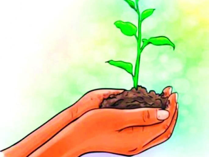 Planting of 29,01738 saplings in five years | पाच वर्षांत 29,01738 वृक्षरोपांची लागवड Planting of 29,01738 saplings in five years | पाच वर्षांत 29,01738 वृक्षरोपांची लागवड