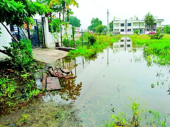 Inviting disease due to stagnant water | साचलेल्या पाण्यामुळे रोगराईला आमंत्रण Inviting disease due to stagnant water | साचलेल्या पाण्यामुळे रोगराईला आमंत्रण