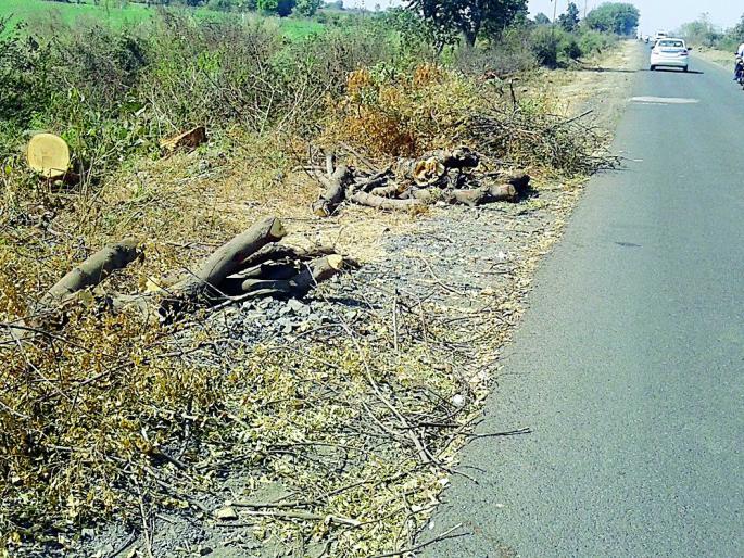 Slaughter of trees in road width | रस्ता रूंदीकरणात वृक्षांची कत्तल Slaughter of trees in road width | रस्ता रूंदीकरणात वृक्षांची कत्तल