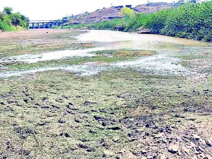 Dry pan | येळाकेळीत धामनदीपात्राला कोरड Dry pan | येळाकेळीत धामनदीपात्राला कोरड