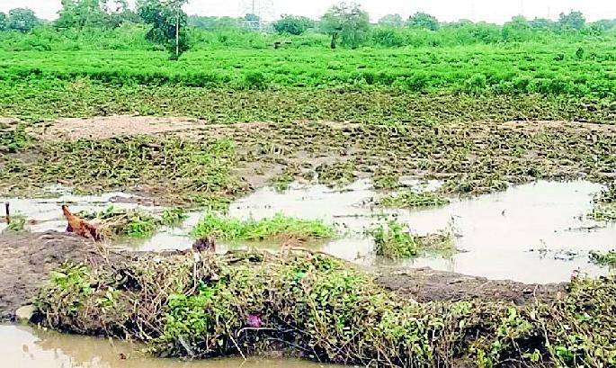 274 rain hits homes | पावसाचा २७४ घरांना फटका 274 rain hits homes | पावसाचा २७४ घरांना फटका