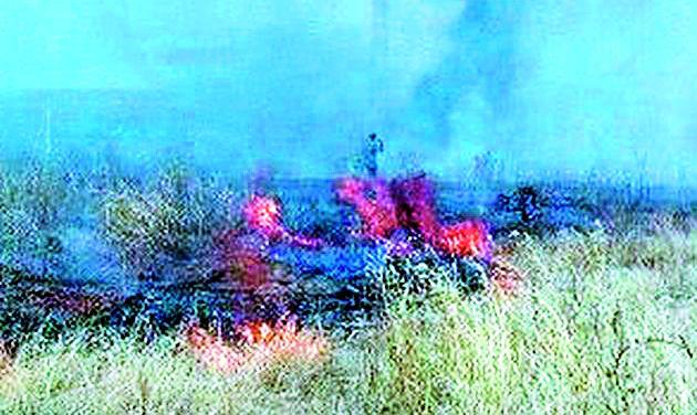 Forest crime against three farmers who leak | धुरा पेटविणाऱ्या तीन शेतकऱ्यांवर वन गुन्हा Forest crime against three farmers who leak | धुरा पेटविणाऱ्या तीन शेतकऱ्यांवर वन गुन्हा