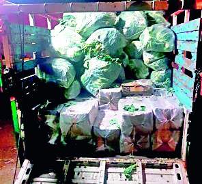 Vegetable and liquor smuggling | भाजीपाल्याआड दारूची तस्करी