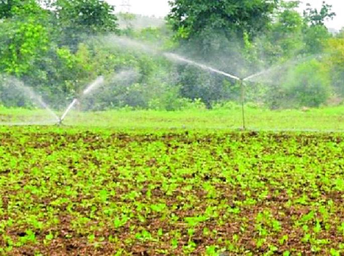 Thousands of farmers stared at the sky | हजारो शेतकऱ्यांचे डोळे लागले आकाशाकडे Thousands of farmers stared at the sky | हजारो शेतकऱ्यांचे डोळे लागले आकाशाकडे