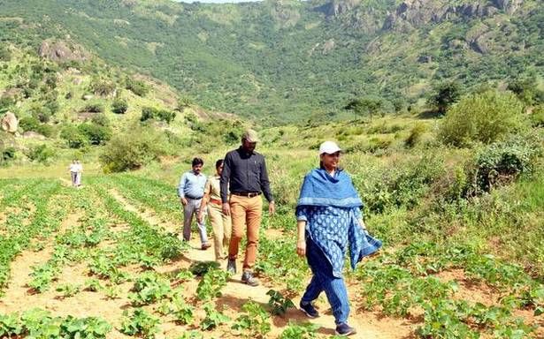 Medals announced by the Forest Department for effective work in the forest service | वनसेवेतील प्रभावी कार्यासाठी वनविभागाकडून पदके जाहीर