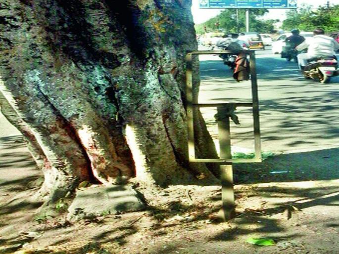 Obstacle in the middle of the road; Tree is going to die ... | रस्त्याच्या मध्यभागीच अडथळा; वृक्ष ठरताहेत जीवघेणे... Obstacle in the middle of the road; Tree is going to die ... | रस्त्याच्या मध्यभागीच अडथळा; वृक्ष ठरताहेत जीवघेणे...