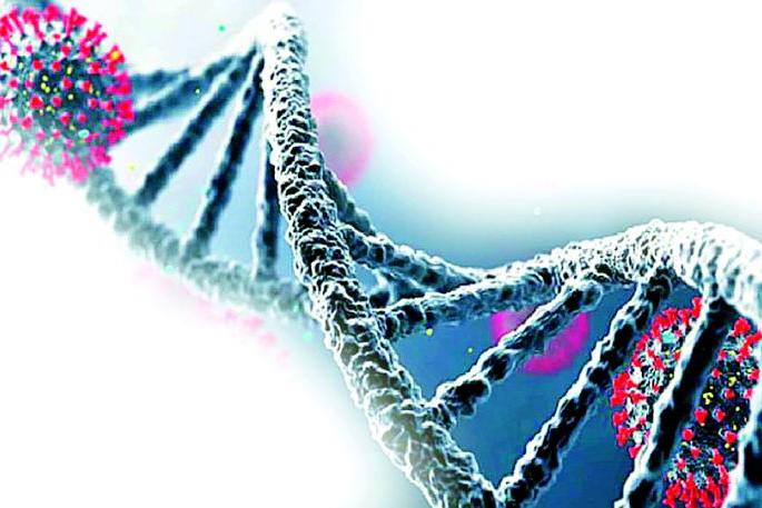 Two suspected patients of Omycron | ओमायक्रॉनचे दोन संशयित रुग्ण Two suspected patients of Omycron | ओमायक्रॉनचे दोन संशयित रुग्ण