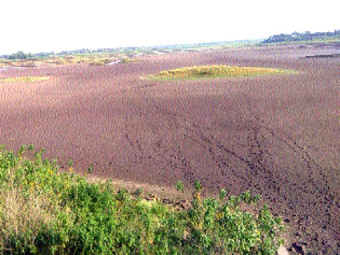 12 crore losses to fish businessmen | मत्स्य व्यवसायिकांचे १२ कोटीचे नुकसान 12 crore losses to fish businessmen | मत्स्य व्यवसायिकांचे १२ कोटीचे नुकसान