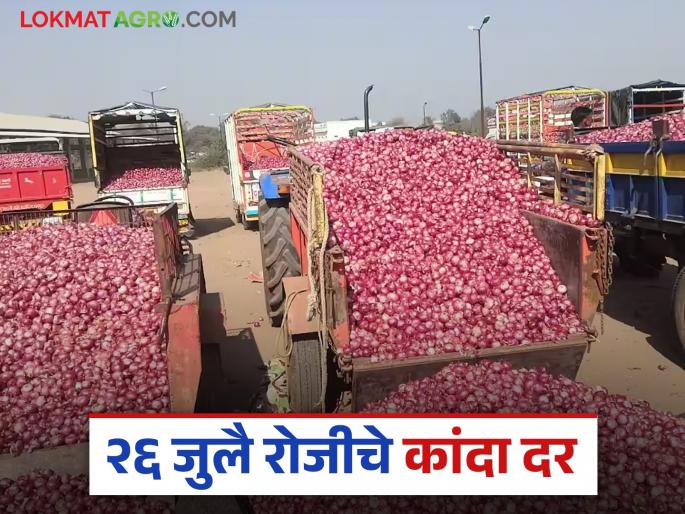 Latest news Kanda market see today 26 july onion price in maharashtra market read in detail | Kanda Market : आज 26 जुलै रोजी 'या' जिल्ह्यात कांद्याला चांगला दर मिळाला, वाचा सविस्तर  Latest news Kanda market see today 26 july onion price in maharashtra market read in detail | Kanda Market : आज 26 जुलै रोजी 'या' जिल्ह्यात कांद्याला चांगला दर मिळाला, वाचा सविस्तर