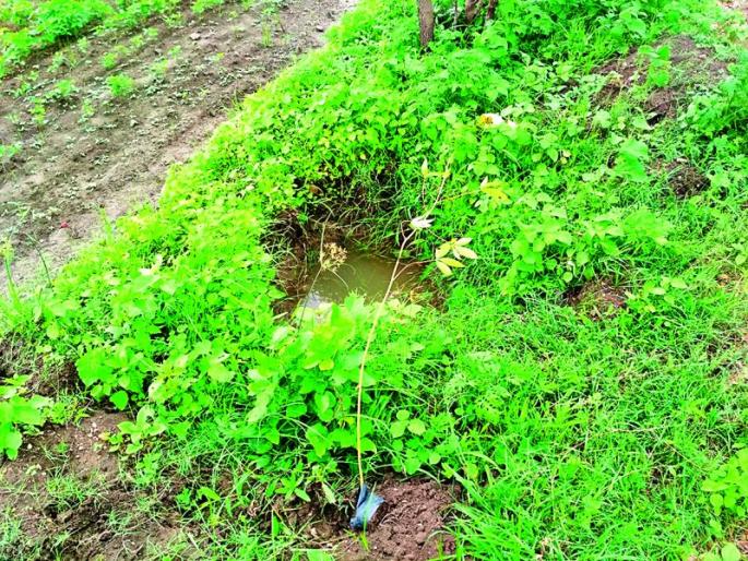 Misplaced tree plantation in Nagpur district | नागपूर जिल्ह्यात खड्डे एकीकडे, वृक्षारोपण भलतीकडे Misplaced tree plantation in Nagpur district | नागपूर जिल्ह्यात खड्डे एकीकडे, वृक्षारोपण भलतीकडे